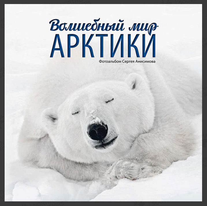 Фотоальбом "Волшебный мир Арктики" (фото - Сергей Анисимов)
